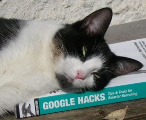 animales de google 2015