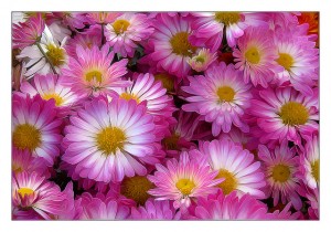 cambios de estacion oportunidades